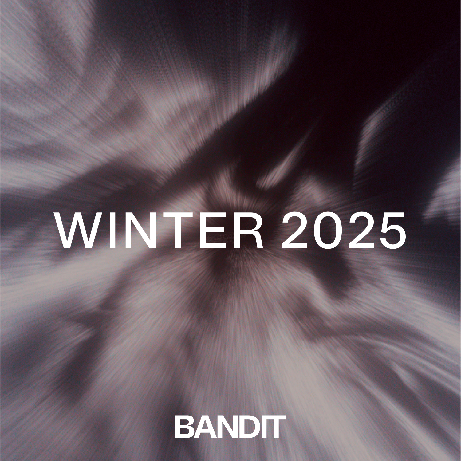 THE WINTER '25 PLAYLIST (SPOTIFY)