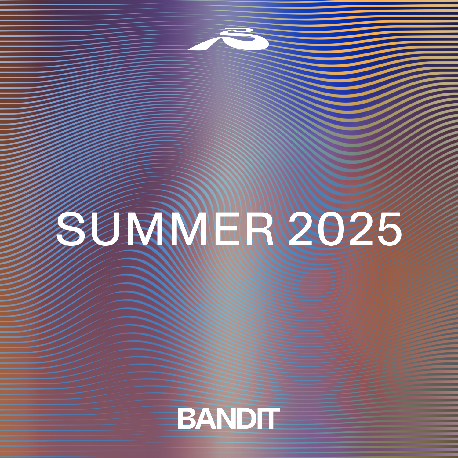 THE SUMMER 2025 SPOTIFY PLAYLIST